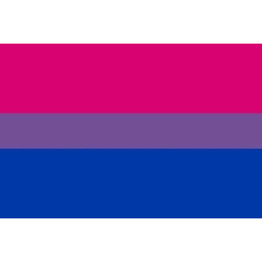 PULSERA BANDERA ORGULLO - BISEXUAL 90 X 150