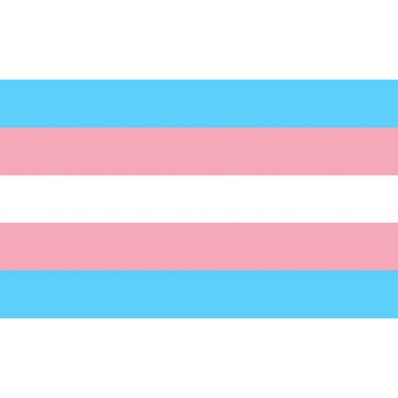 ORGULLO - BANDERA TRANSEXUAL 90 X 150