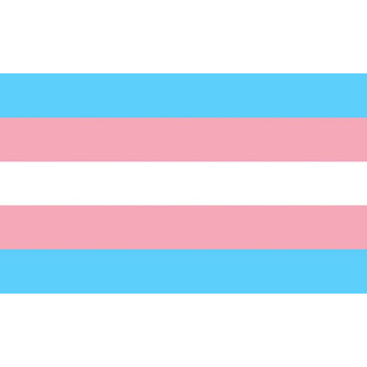 ORGULLO - BANDERA TRANSEXUAL 90 X 150