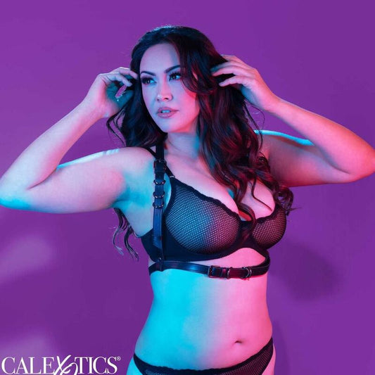 CALEXOTICS - ARNÉS CON HEBILLA PARA CABALLERO EUPHORIA DE TALLA GRANDE NEGRO