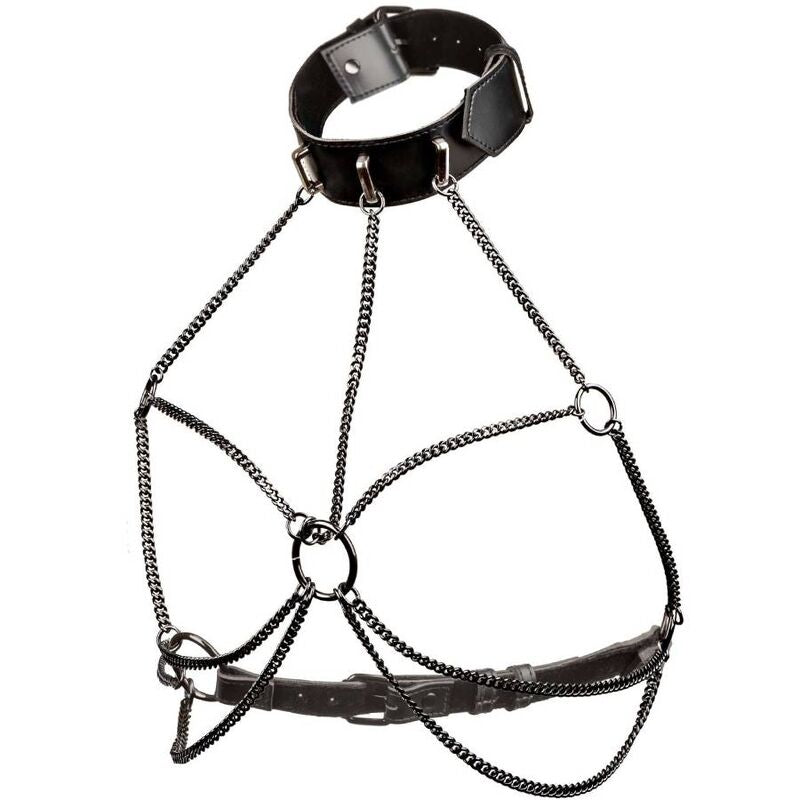 CALEXOTICS - EUPHORIA PLUS SIZE MULTI CHAIN COLLAR HARNESS