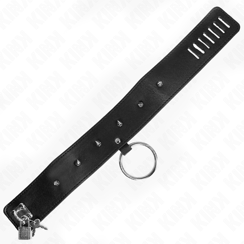 KINK - COLLAR 65 CM CON CORREA CON TAPONES PLATA MODELO 2 AJUSTABLE 36-43 CM X 5 CM