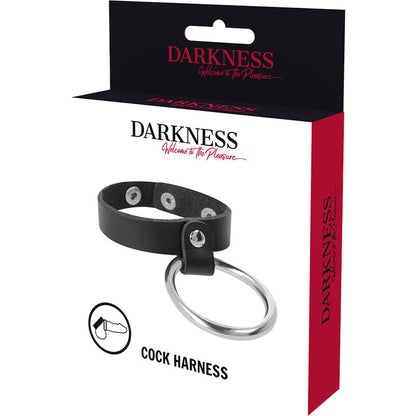 DARKNESS - ANILLO DE METAL PARA EL PENE Y LOS TESTICULOS